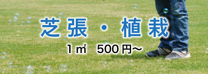 芝張・植栽　1㎡　500円〜