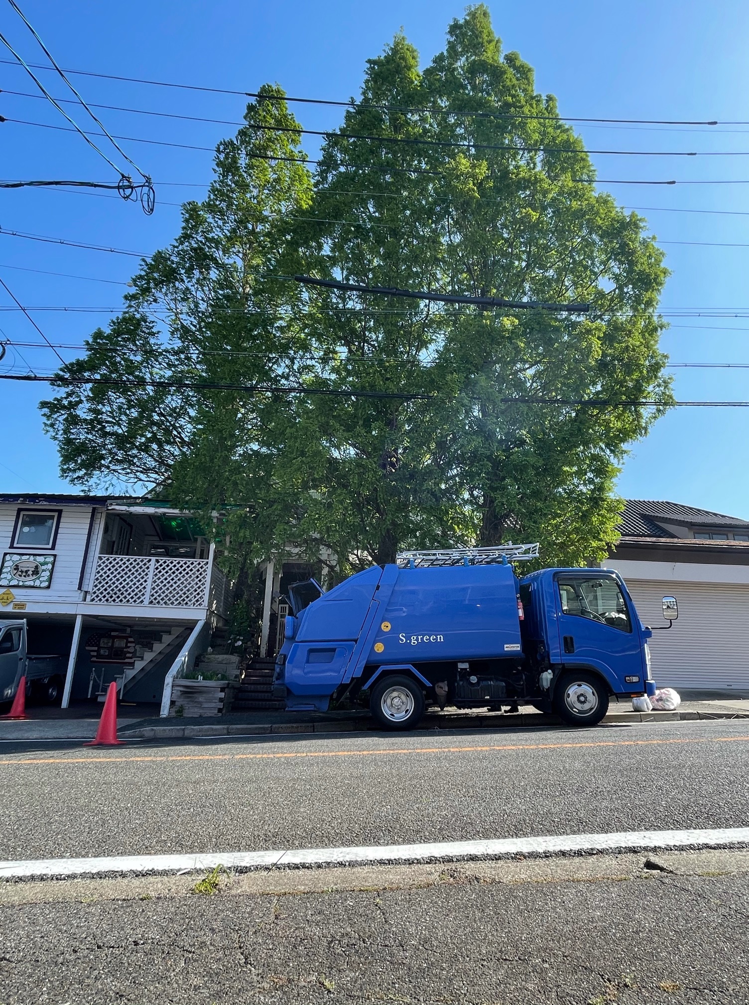 他社に断り続けられたメタセコイアの大木伐採 庭木のお手入れならエスグリーン
